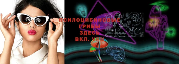 МДПВ Михайловка