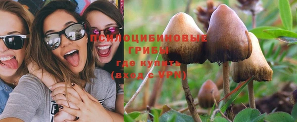 МДПВ Михайловка
