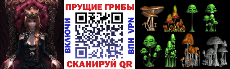 Галлюциногенные грибы MAGIC MUSHROOMS  Липецк 